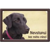 Plechová psí cedule, Flat coated retriever, Nevstupuj bez mého pána!