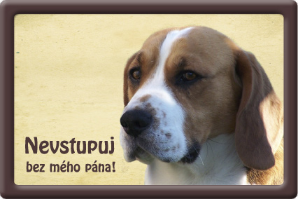 Plechová psí cedule, Bígl, Nevtupuj bez mého pána!