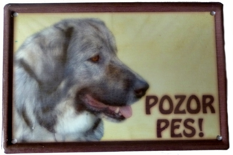 Plechová psí cedule, Kavkazský ovčák, Pozor pes