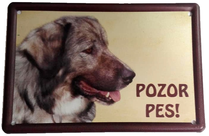 Plechová psí cedule, Kavkazský ovčák, Pozor pes