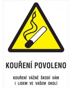 Plechová cedule ,  Kouření povoleno 120 x 160 mm