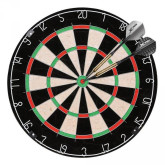 Šipky s terčem XQ MAX Dartboard Starter Set Europe 46 cm