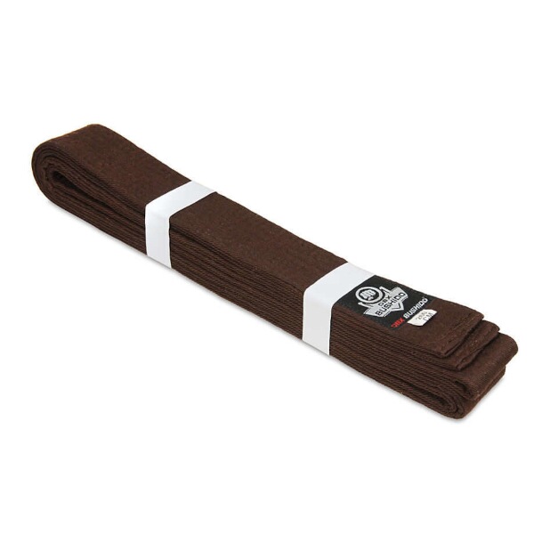 Hnědý pás ke kimonu DBX BUSHIDO OBI, 300 cm
