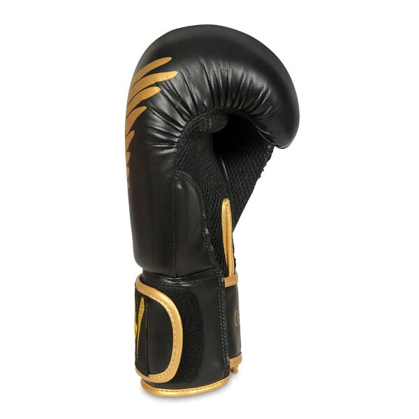 Boxerské rukavice DBX BUSHIDO B-2v17 12oz.