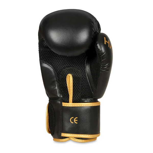 Boxerské rukavice DBX BUSHIDO B-2v17 12oz.