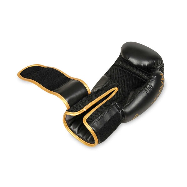 Boxerské rukavice DBX BUSHIDO B-2v17 12oz.