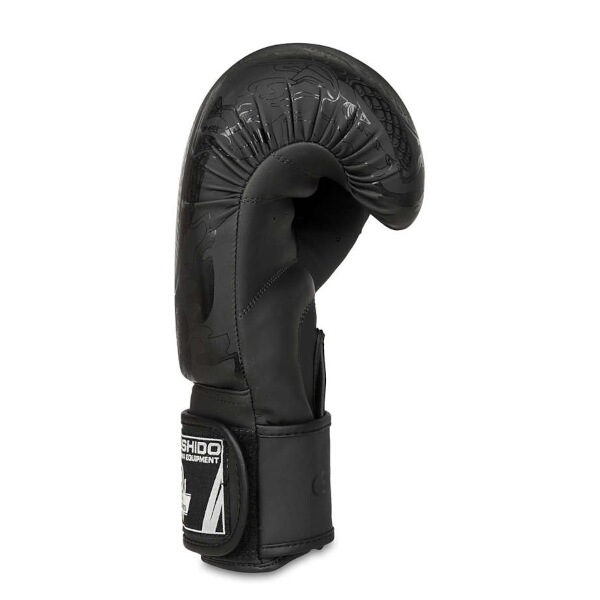 Boxerské rukavice DBX BUSHIDO B-2v18 8oz.