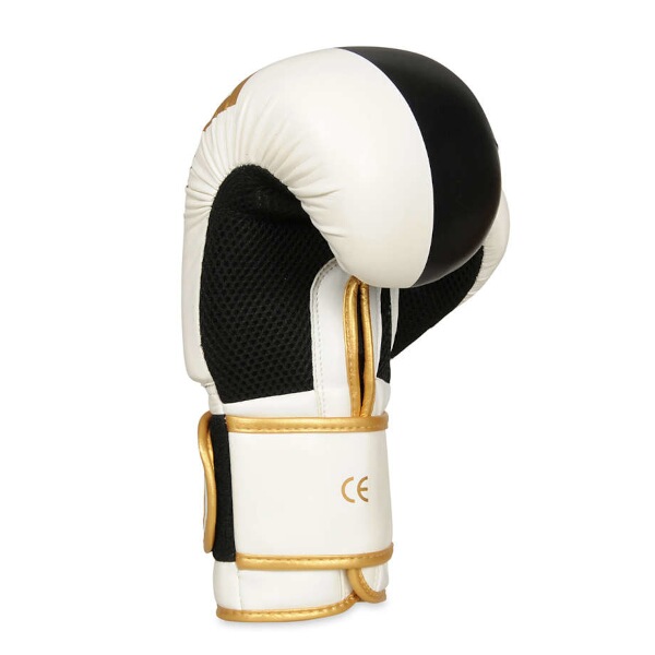 Boxerské rukavice DBX BUSHIDO B-2v16 8oz.