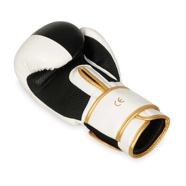 Boxerské rukavice DBX BUSHIDO B-2v16 8oz.