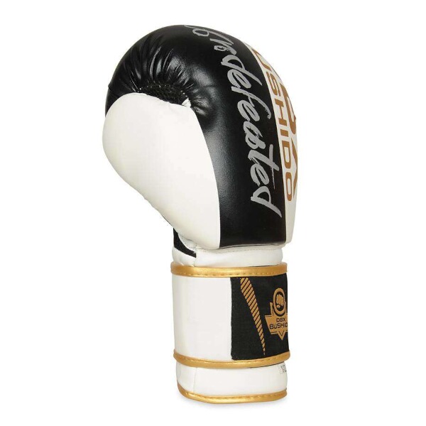 Boxerské rukavice DBX BUSHIDO B-2v16 10oz