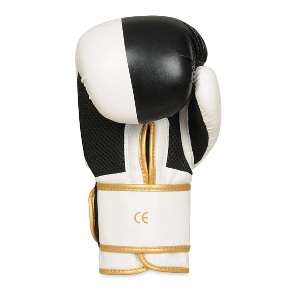 Boxerské rukavice DBX BUSHIDO B-2v16 10oz