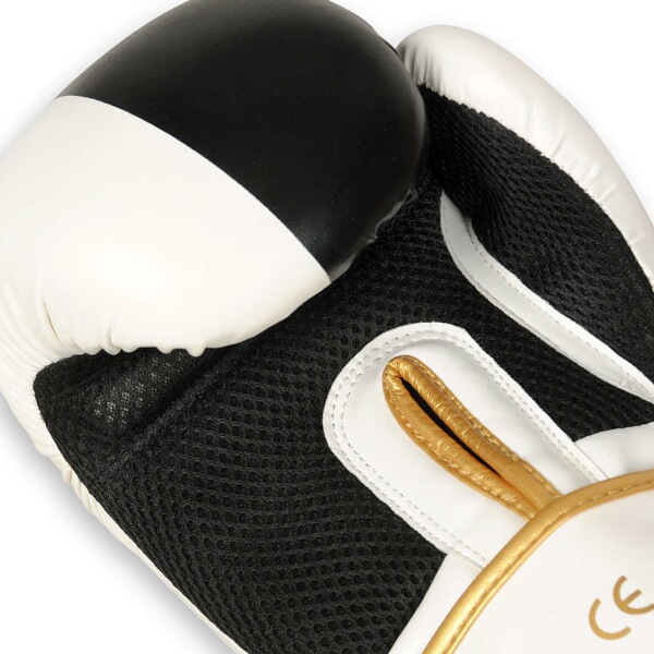 Boxerské rukavice DBX BUSHIDO B-2v16 10oz