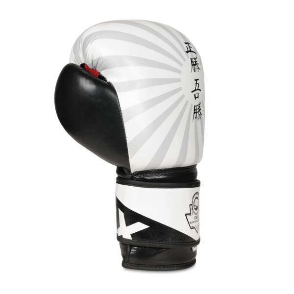 Boxerské rukavice DBX BUSHIDO B-2v8 12oz