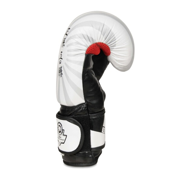 Boxerské rukavice DBX BUSHIDO B-2v8 14oz