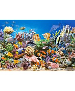 Puzzle Castorland 260 dílků - Ryby na korálovém útesu